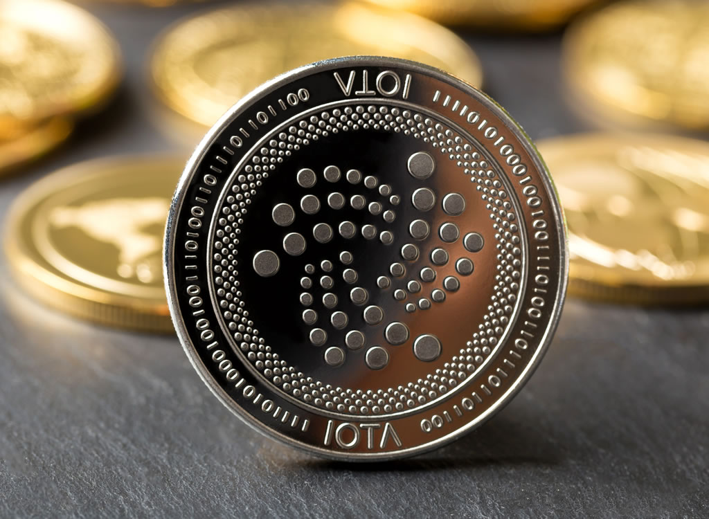 IOTA(アイオータ)と複数の仮想通貨