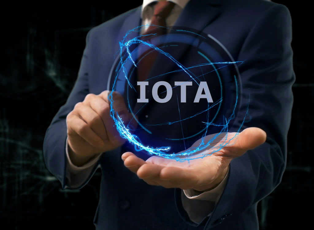 IOTAの将来を考える様子